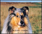 Ewig bleibt es unverloren, was das Herz dem Herzen gab. (Adalbert Sifter)