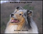 Unverhofft und ohne Vorwarnung mußten wir Bear erlösen und seiner Nichte Kimberly über die Regenbrücke folgen lassen. Eine Ära geht zu Ende....  Wenn ihr mich sucht, sucht mich in euren Herzen. Habe ich dort eine Bleibe gefunden, lebe ich in euch wei